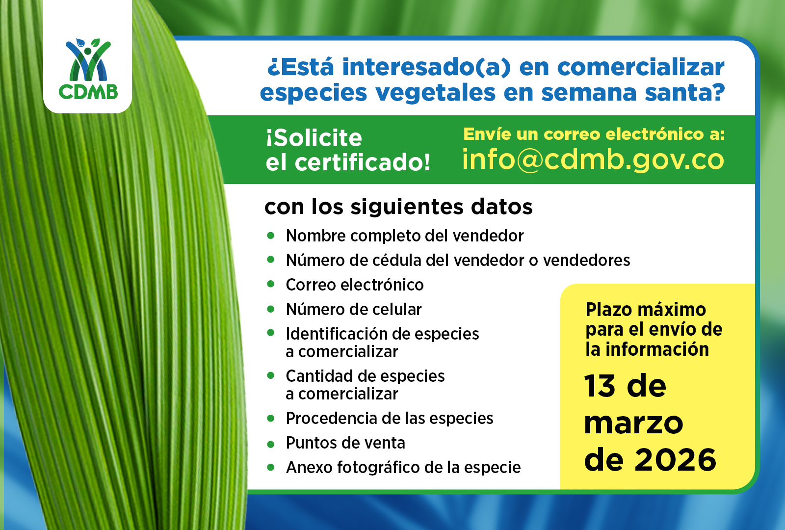 Se mantiene la prohibición para comercializar especies vegetales