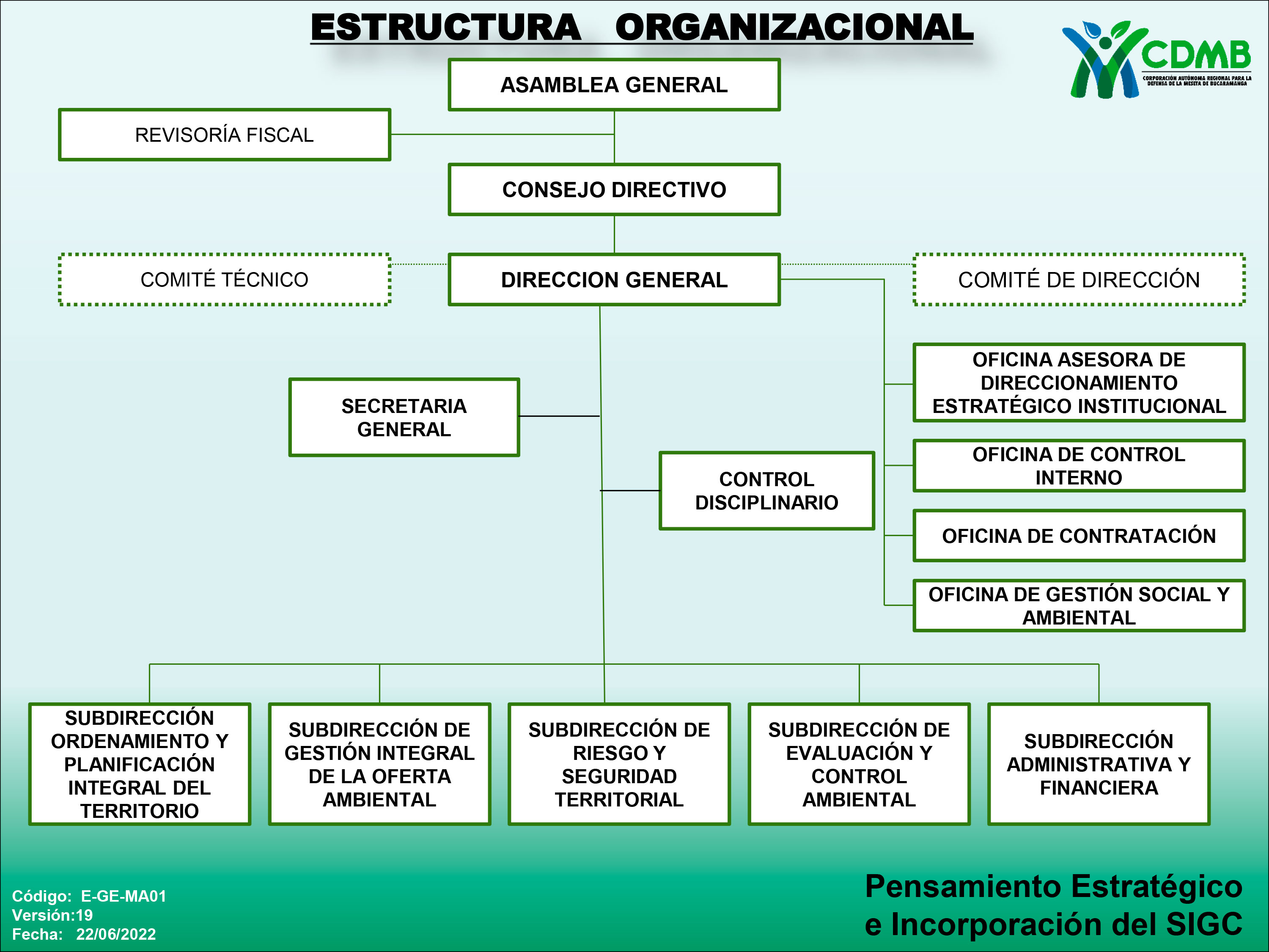 Estructrura Organizacional