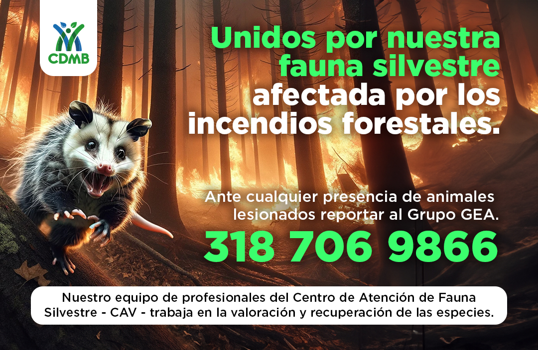Salvemos a la fauna silvestre en época del fenómeno de El Niño e incendios