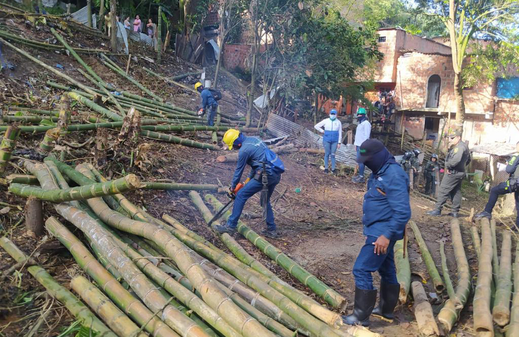 En el primer semestre de 2023, la CDMB realizó 324 operativos en zonas de especial protección 