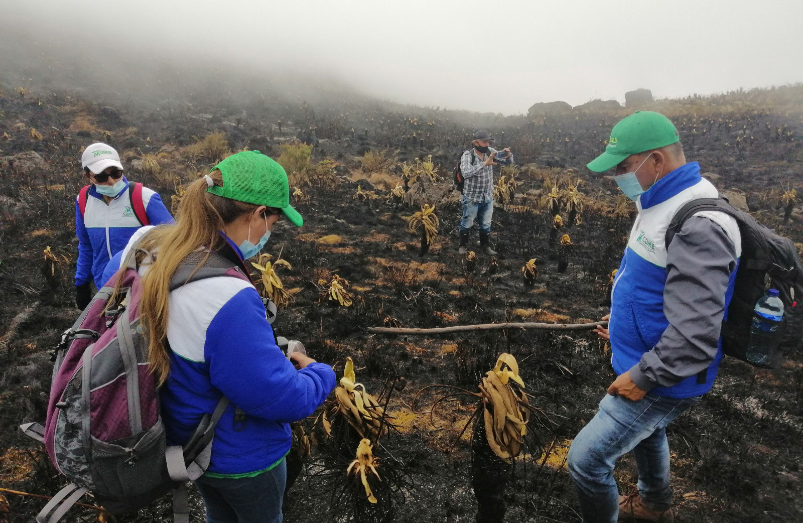 La CDMB emitió recomendaciones por posibles afectaciones por lluvias o incendios forestales