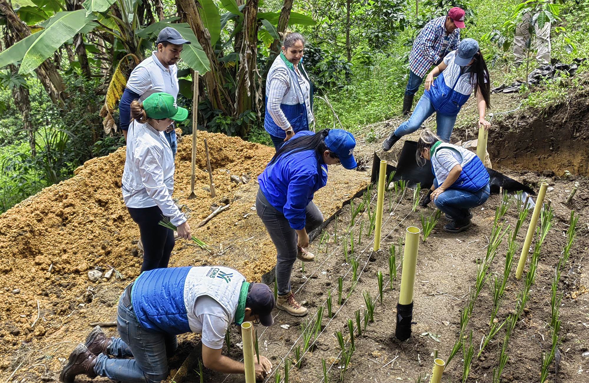 *‘Filtro verde’ la nueva apuesta circular de producción responsable* 