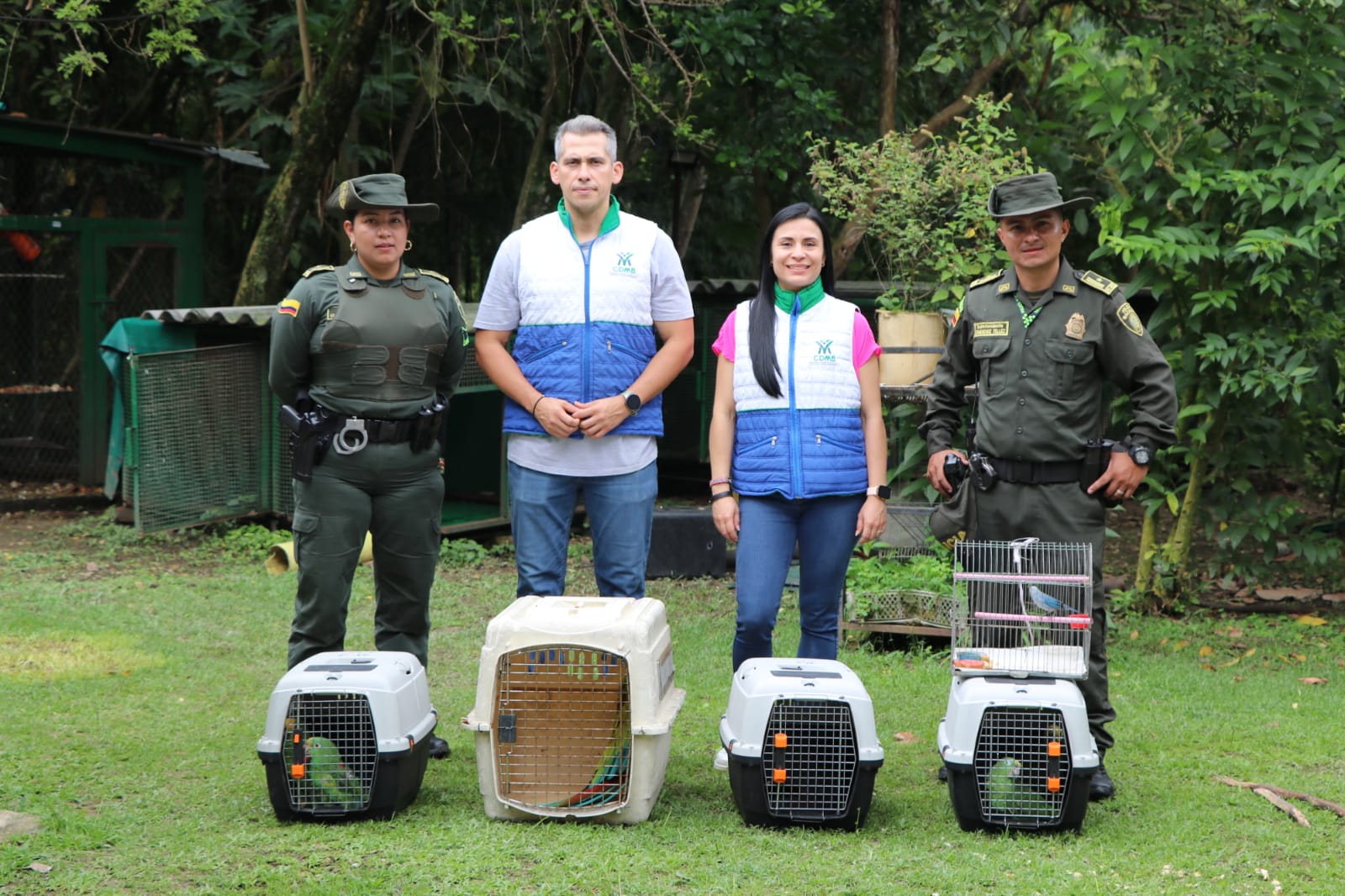 Insisten en domesticar animales silvestres en Santander, un crimen contra la salud de la naturaleza