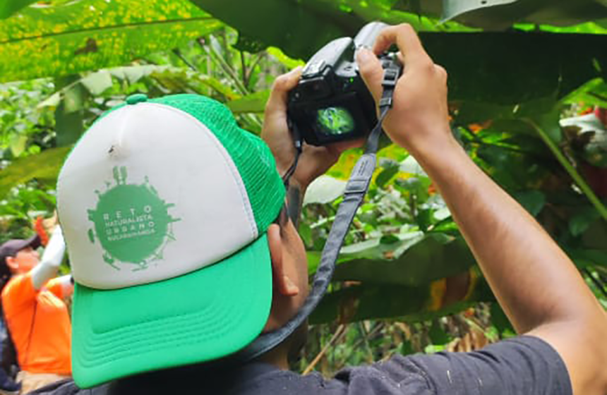 ¡Bucaramanga y su área metropolitana participan por quinta vez del City Nature Challenge 2025!