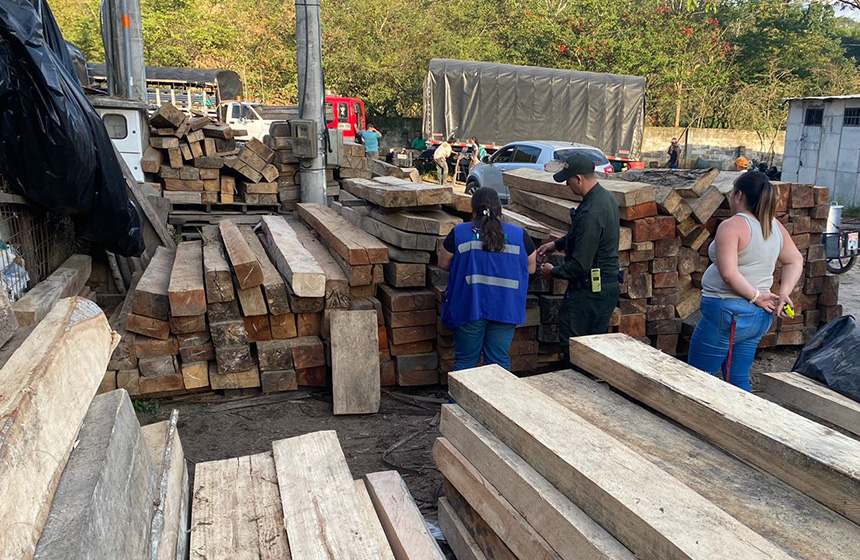 Operativos de tráfico ilegal de madera deja como resultado la captura de 21 personas