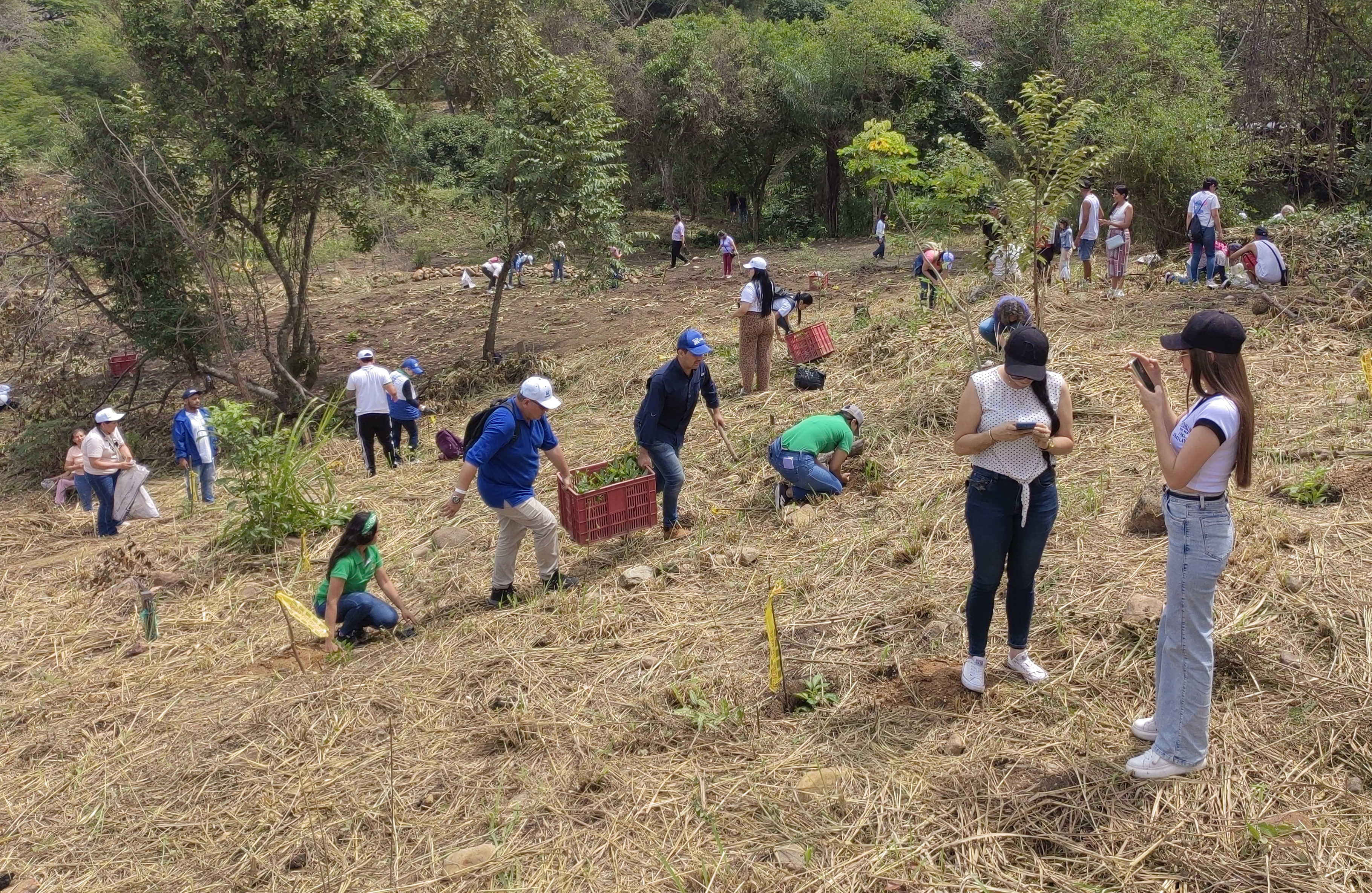 CDMB en articulación con la comunidad religiosa unen esfuerzos para recuperar el predio Las Hamacas con jornada de siembra y compartir comunitario