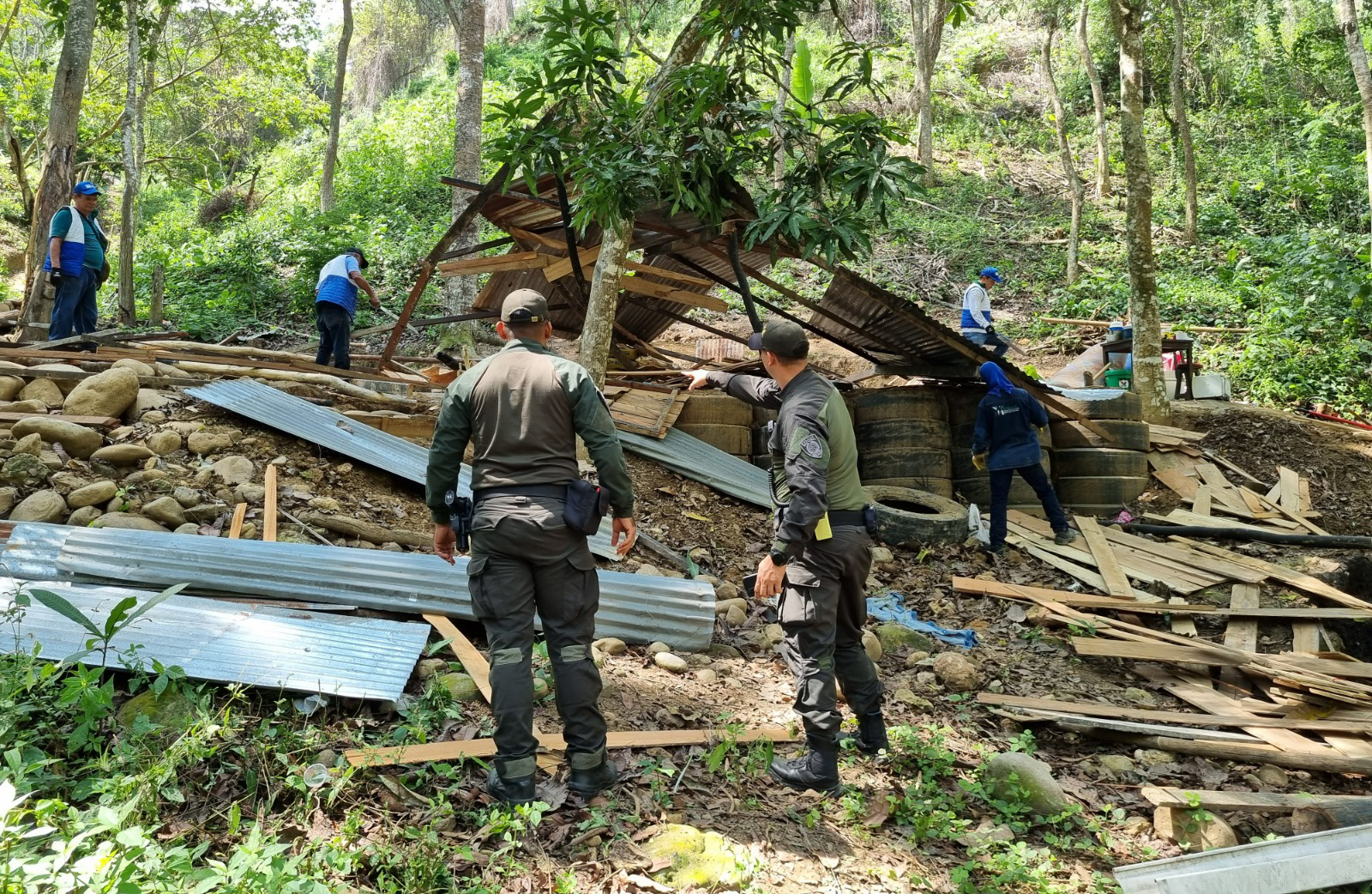 CDMB presenta el balance de acciones ejecutadas en lo corrido del año en predios institucionales